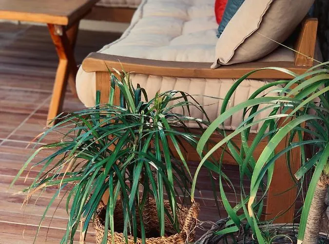 ホテル Rijeka Alacati *