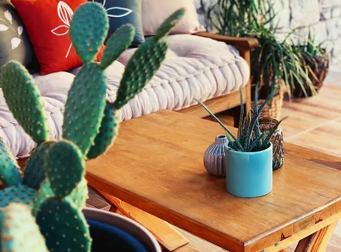 Rijeka Alacati Otel *